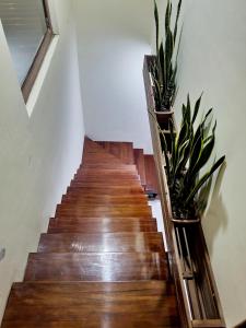 Beautiful view suite Suite vista hermosa