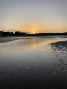 Shore beats working - Sassafras