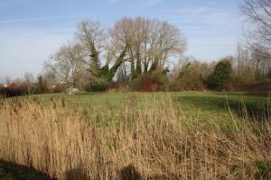 Campings Mobilhome Cote Haie : photos des chambres