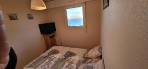 Appartements Appartement les pieds dans l'eau : photos des chambres