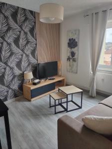 L'Europ'appart : Gare, Center parcs, Parc St Croix