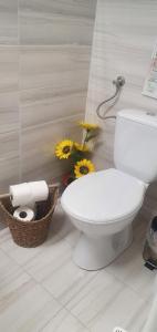 Boldizsár Lovas Ház