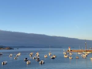 Appartements 522 - A Erquy dans une residence calme a 200m de la Plage : Appartement 1 Chambre