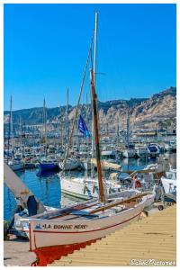 Un havre de paix à lEstaque Marseille