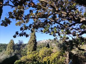 Apartment Fragonard with heated pool and large private terrace