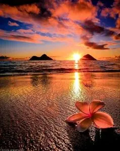 KANALU BEACH APPATEMENT - Grande Anse