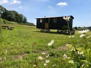 Deer Lodge Shepherds Hut - Rowlands Castle