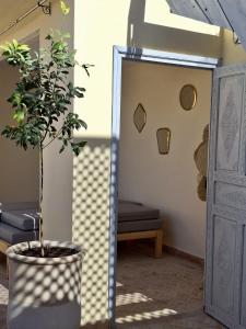 Riad le R - Riad privatif de luxe