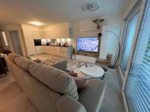 Violet-Sky Bellinzona