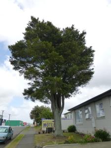 Totara Lodge Motel