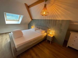 Villas Villa resort vue lac Spa/Bateau/Proche stations : photos des chambres