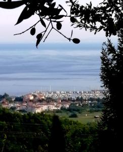 OLIVES HOUSE in Izola