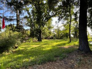 Cabaña en el bosque en Curico