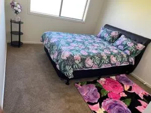 STAR PARVILLION HIDE AWAy - Devon Meadows