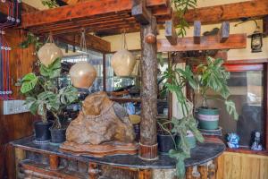 Ziczac Homestay Đà Lạt