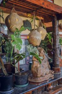 Ziczac Homestay Đà Lạt