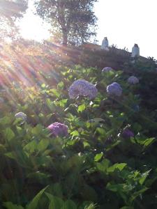 B&B / Chambres d'hotes Golfetmer : photos des chambres