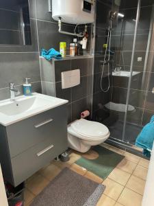 Appartements Appartement Duplex T1 : photos des chambres