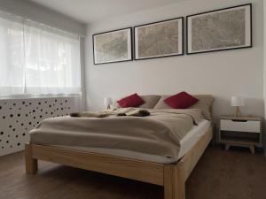 Sunny Alps View: Central Bliss