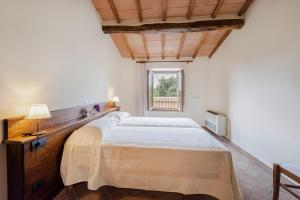 Antica Grancia Di Quercecchio