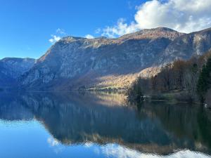 Apartma Tisa Bohinj-no outside windows - 3hvězdičkové hotely ve městě Bohinj