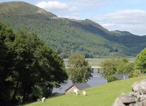 Tre-Allt Gorgeous Cottage