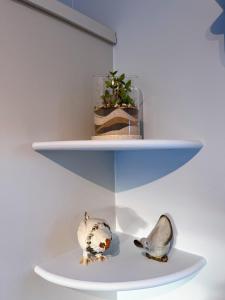 Capledrae Farmstay Shepherds Huts