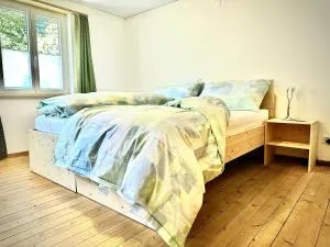 Gasthof Ochsen - Nesslau