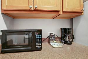 Chicago Studio Unit Cozy & Convenient - BStone 226 rep