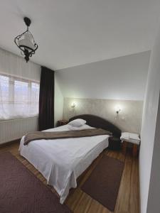 Pensiunea Irina Maramureș