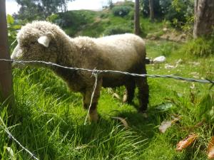 Caminatas y vistas en Huaraz