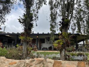 Hostal greenlandomesa