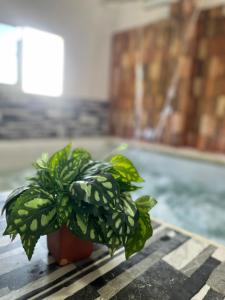 Cabaña Santorini Colombiano