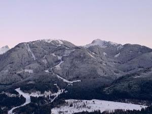 Mountain Chalet Tre Marie