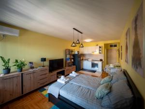 Green Apple Apartment