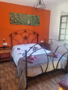 Finca Aurora Ecorural