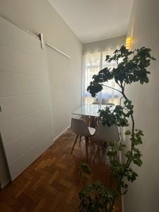 copainhanga 3 QUARTOS AMPLO