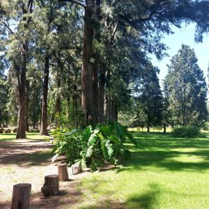 Casa Principal - El Bamboo Eventos