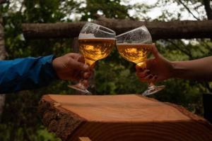 Refugios de bosque en Coñaripe