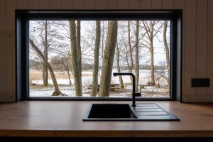 Living art piece at the lake.