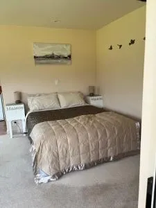 Carrickfergus Cottage Unit 2 - Kakapotahi