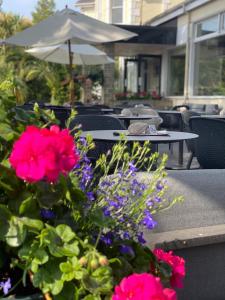 Anchorage Hotel & Spa