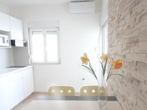 Apartment Zadar - Pine Diklo - newly renovated 