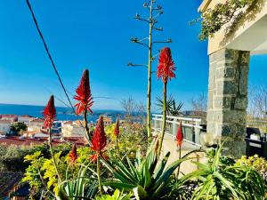 Villas Villa Montalbo vue mer avec grande terrasse & plage a proximite - ideale famille et groupe de 2 a 10 personnes : photos des chambres