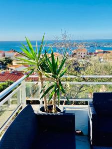 Villas Villa Montalbo vue mer avec grande terrasse & plage a proximite - ideale famille et groupe de 2 a 10 personnes : photos des chambres