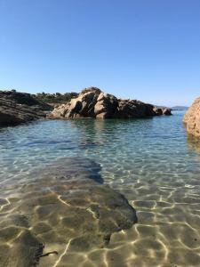 Chalet au calme à Sagone en Corse