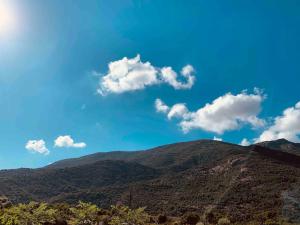 Chalet au calme à Sagone en Corse