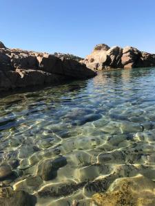 Chalets Chalet au calme a Sagone en Corse : photos des chambres