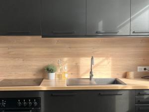 Appartements Joli appartement proche centre avec garage gratuit : photos des chambres