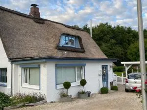 Erholung am Deich - Kollmar